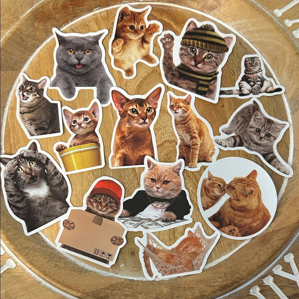 💎5/$25 Cute Cat Sticker Set NEW x14 tabby grey orange in hat, hammock